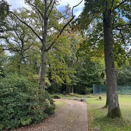 In Foresr Of Rambouillet